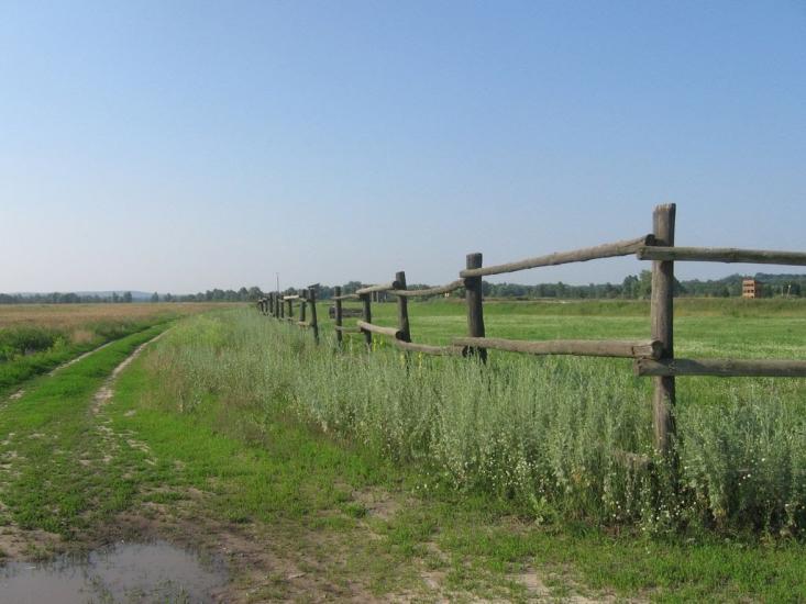 Патріотівка з panoramio.com - Patriotivka