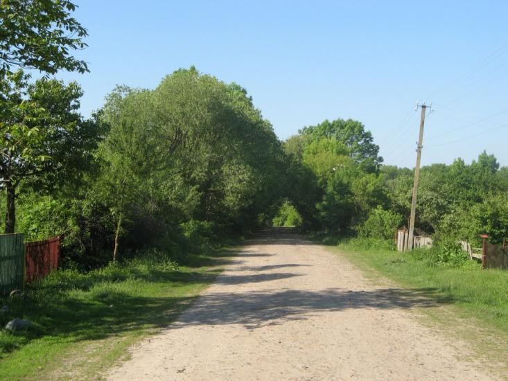 Любимівка з panoramio.com - Любимівка