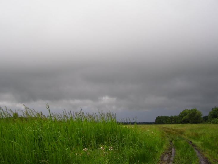 Манухівка з panoramio.com - Manukhivka