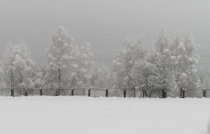 Старі Петрівці з panoramio.com - Stari Petrivtsi