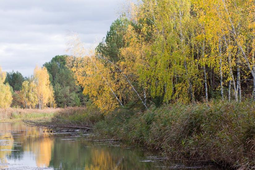 Толокунь з panoramio.com - Толокунь