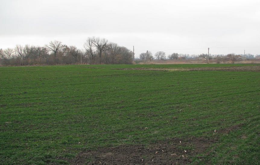 Соколова Балка з panoramio.com - Соколова Балка