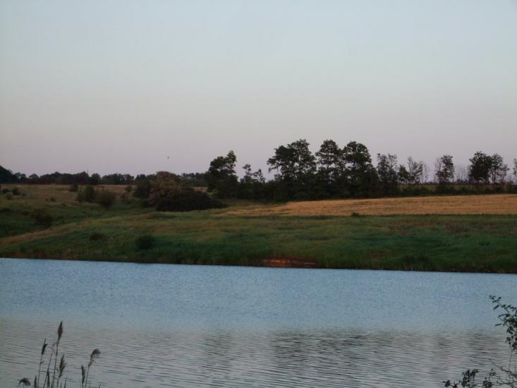Степано-Кринка з panoramio.com - Степано-Кринка