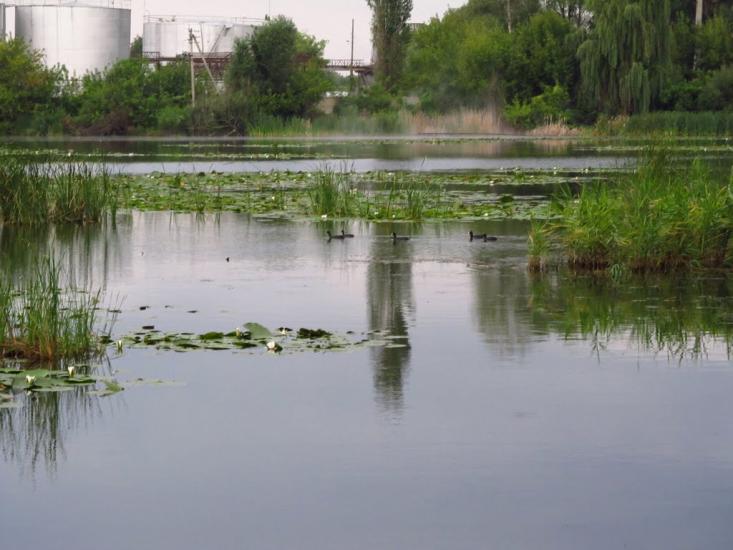 Будилка з panoramio.com - Будилка