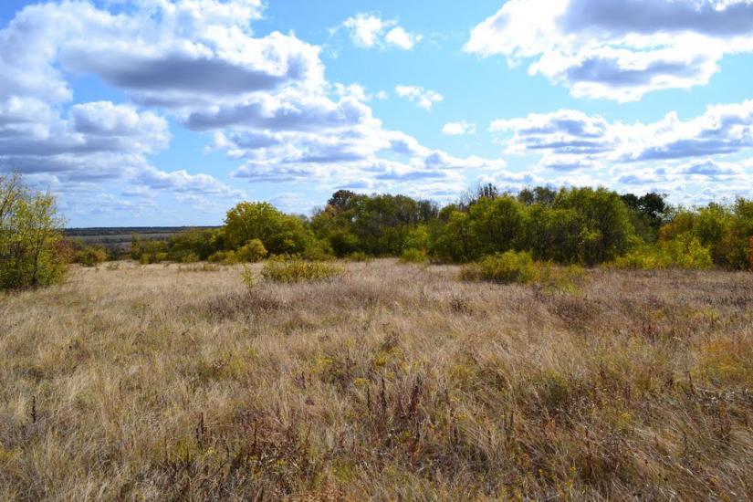 Новомлинівка з panoramio.com - Новомлинівка