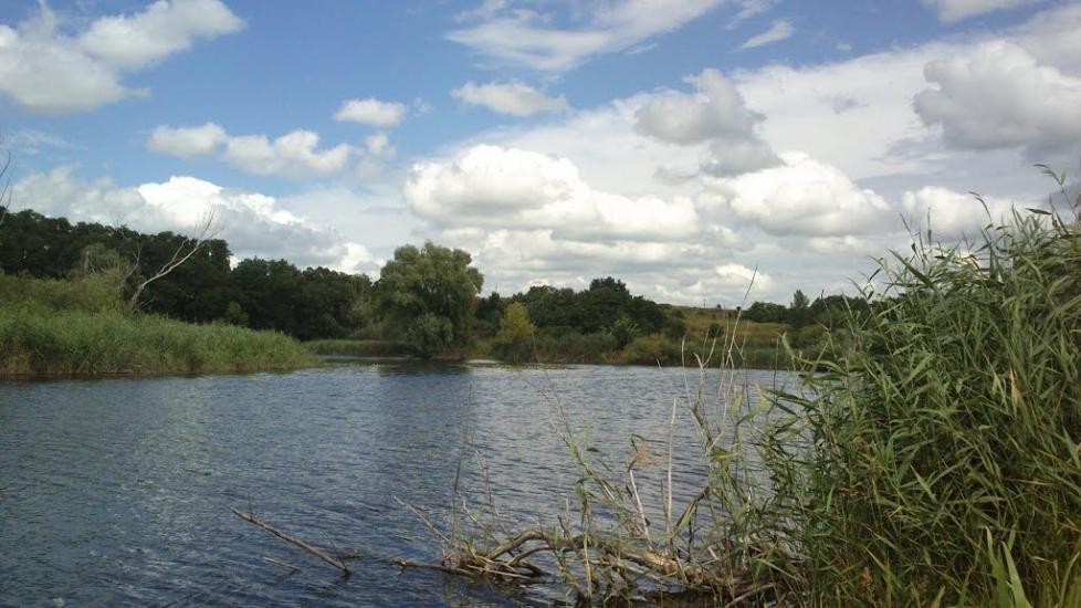 Стави з panoramio.com - Ставы