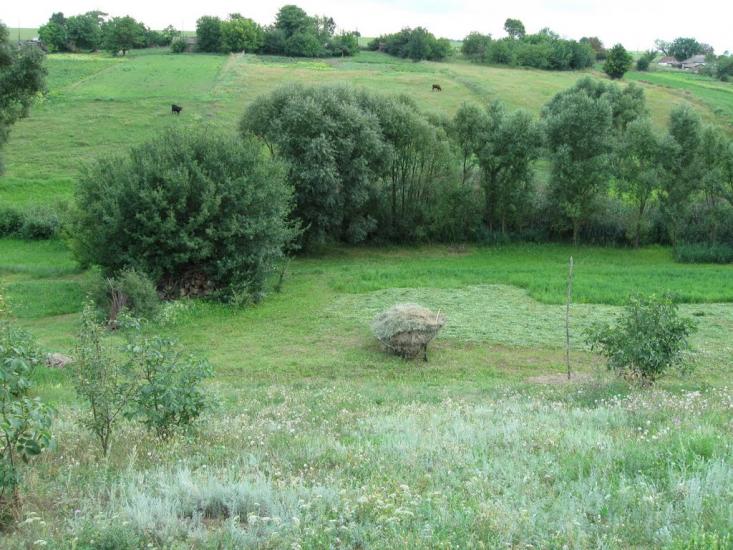 Мала Помічна з panoramio.com - Малая Помошная
