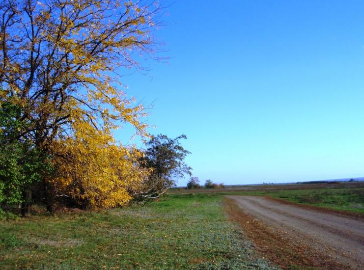 Басань з panoramio.com - Басань