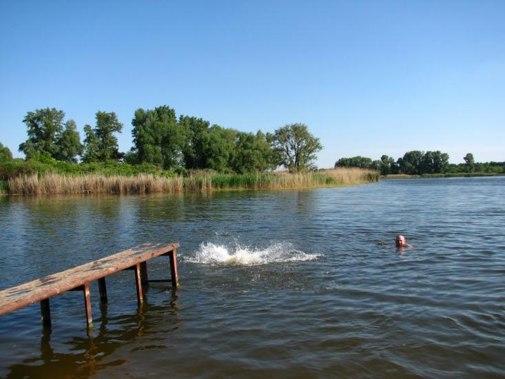 Ртищівка з panoramio.com - Ртищівка