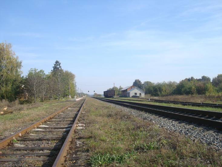 Лісоводи з panoramio.com - Лісоводи
