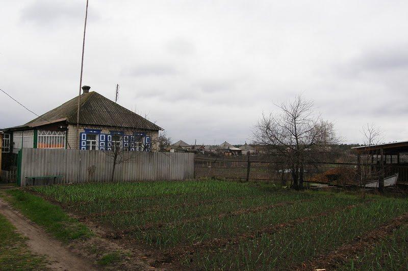 Ямпіль з panoramio.com - Yampil