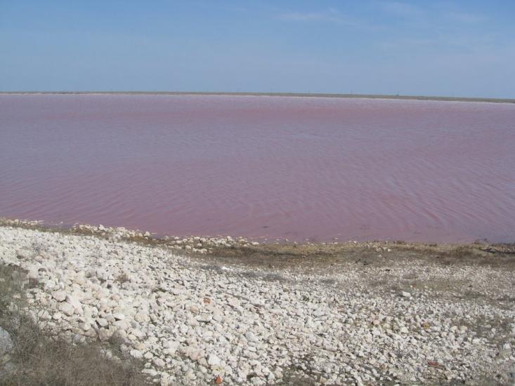 Карпова Балка з panoramio.com - Карпова Балка