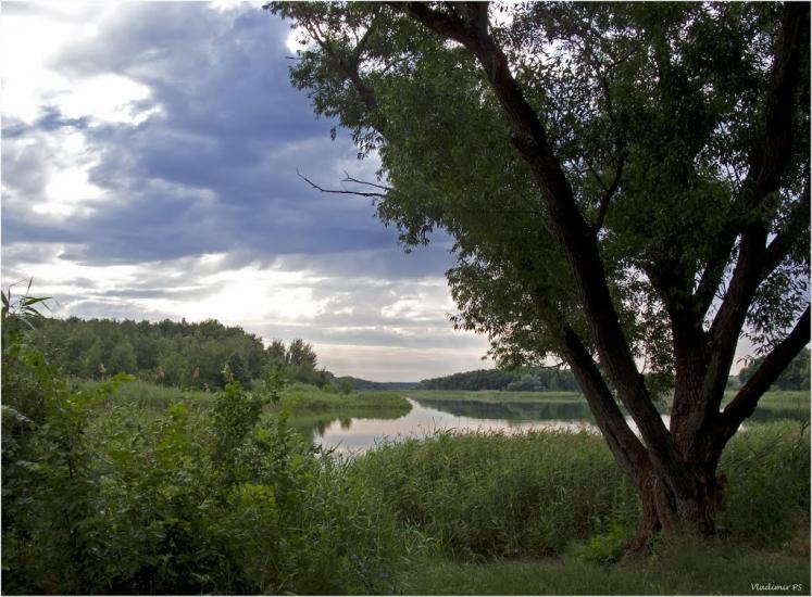 Мала Ганнівка з panoramio.com - Малая Анновка