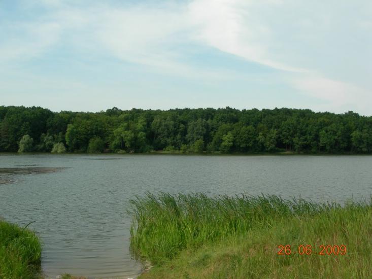 Северинівка з panoramio.com - Северинівка