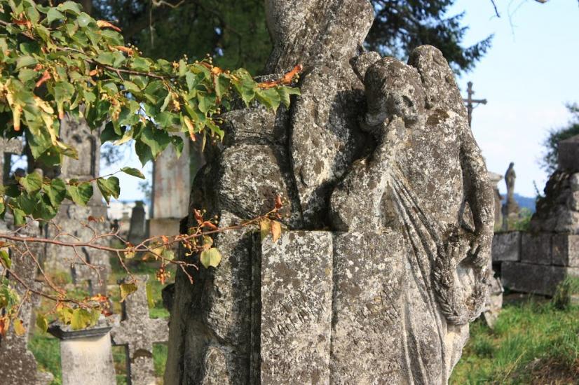 Сасів з panoramio.com - Сасов