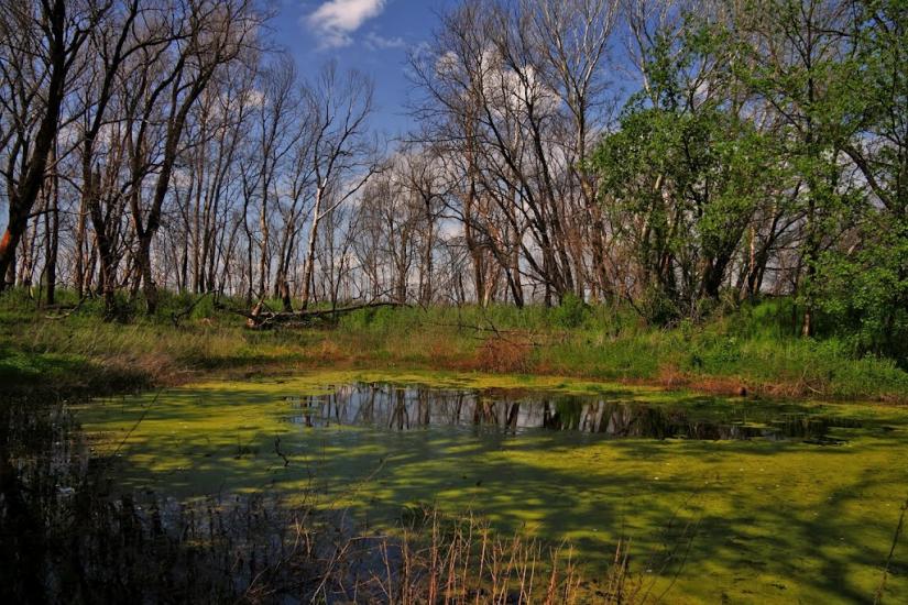 Трьохізбенка з panoramio.com - Трехизбенка