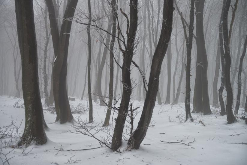 Старе Село з panoramio.com - Старое Село