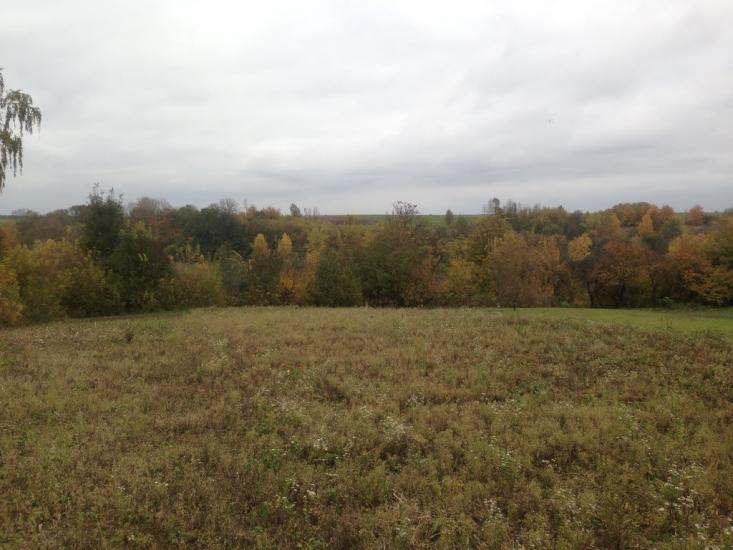 Тишевичі з panoramio.com - Тышевичи