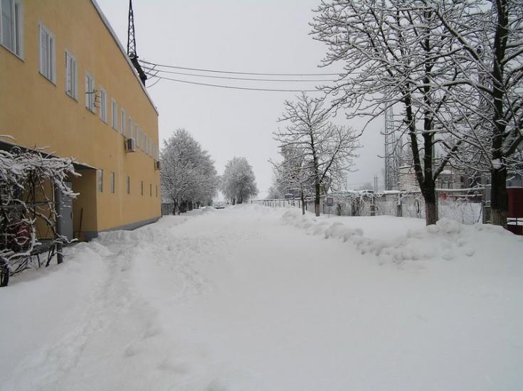 Старі Петрівці з panoramio.com - Stari Petrivtsi