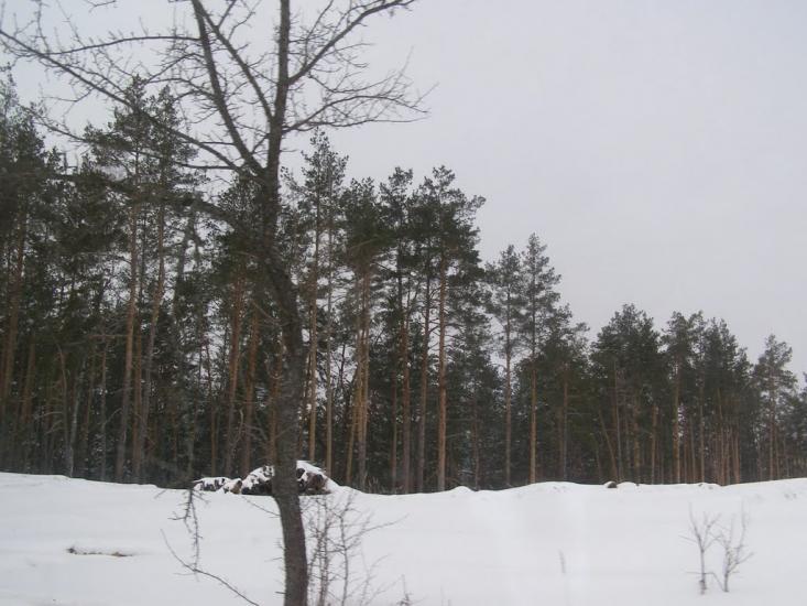 Суслівка з panoramio.com - Суслівка