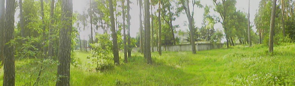 Гончарівське з panoramio.com - Гончаровское