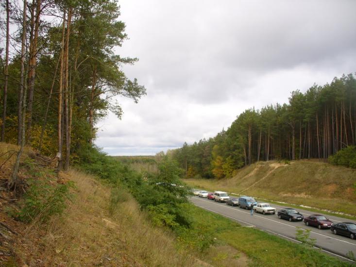 Скиток з panoramio.com - Скиток