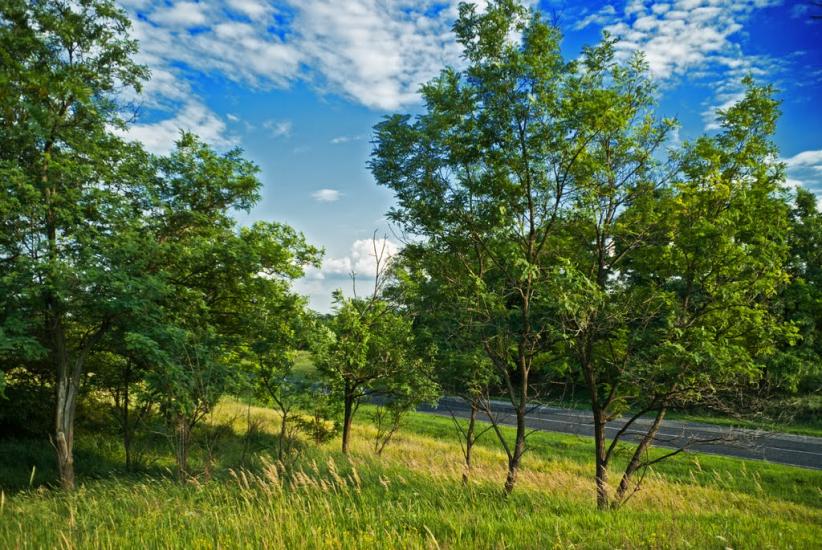 Кам'яні Потоки з panoramio.com - Kamyani Potoky