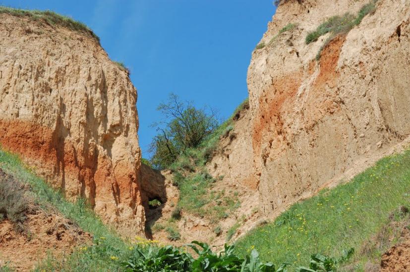 Олександрівка з panoramio.com - Александровка