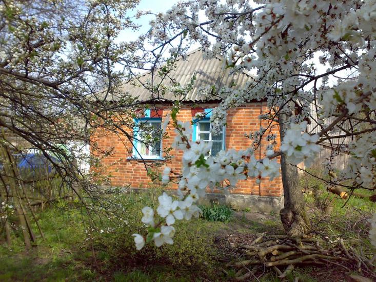 Чайківка з panoramio.com - Чайківка