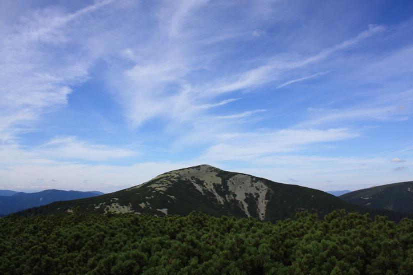 Осмолода з panoramio.com (ч.2) - Осмолода