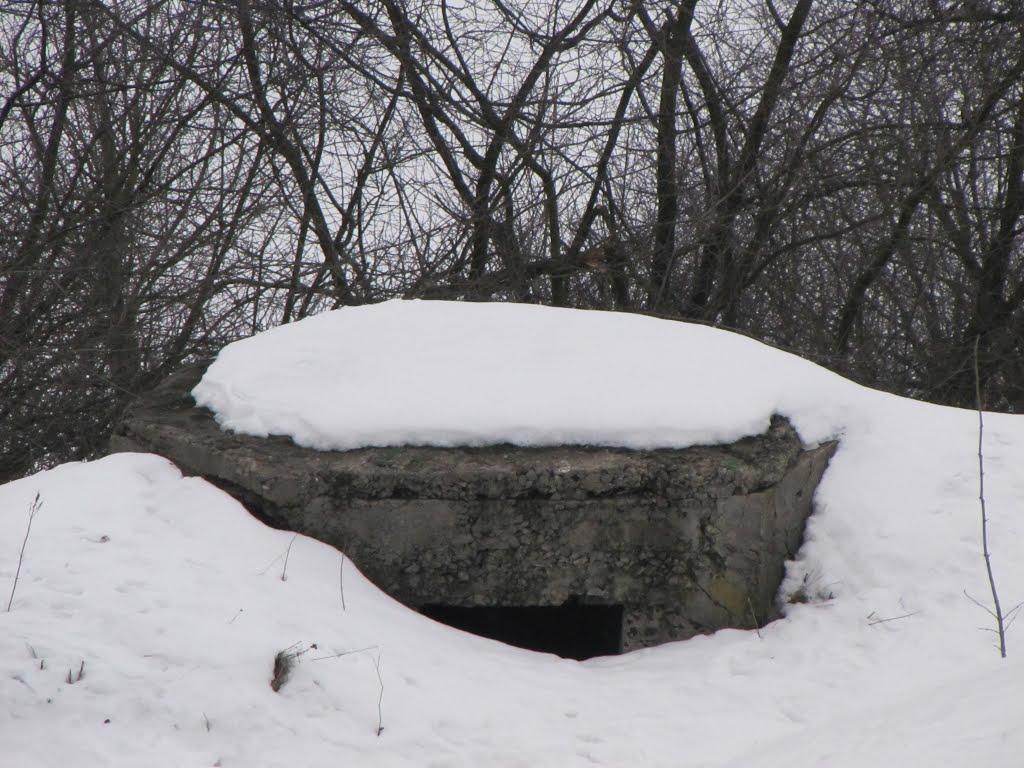 Білогородка з panoramio.com - Білогородка