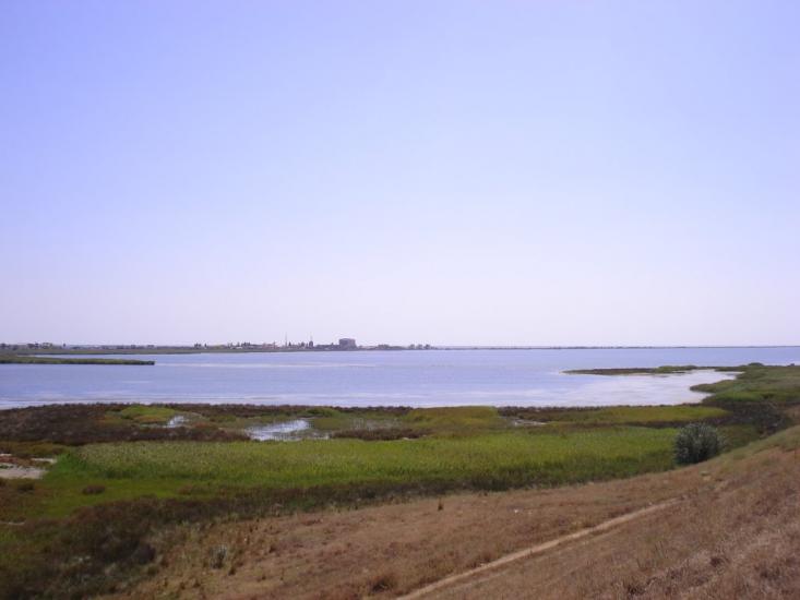 Біленьке з panoramio.com - Біленьке