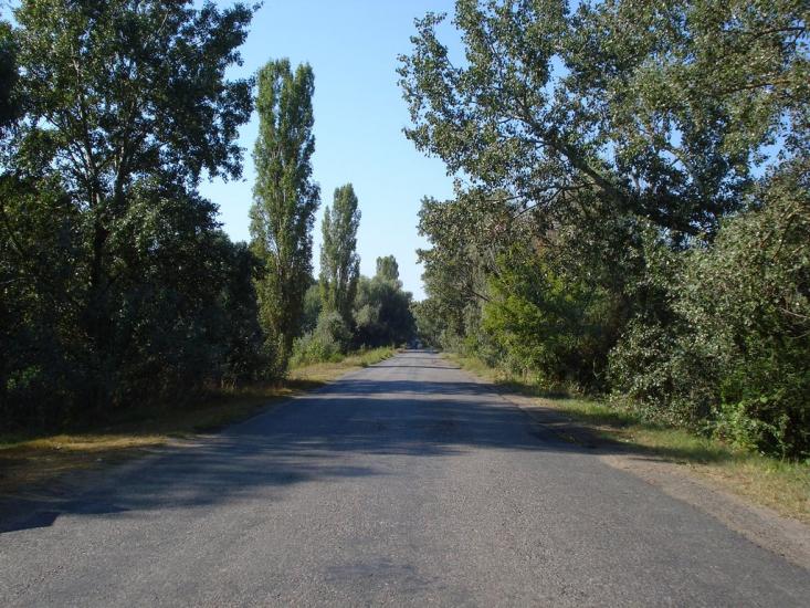 Кислиця з panoramio.com - Кислица