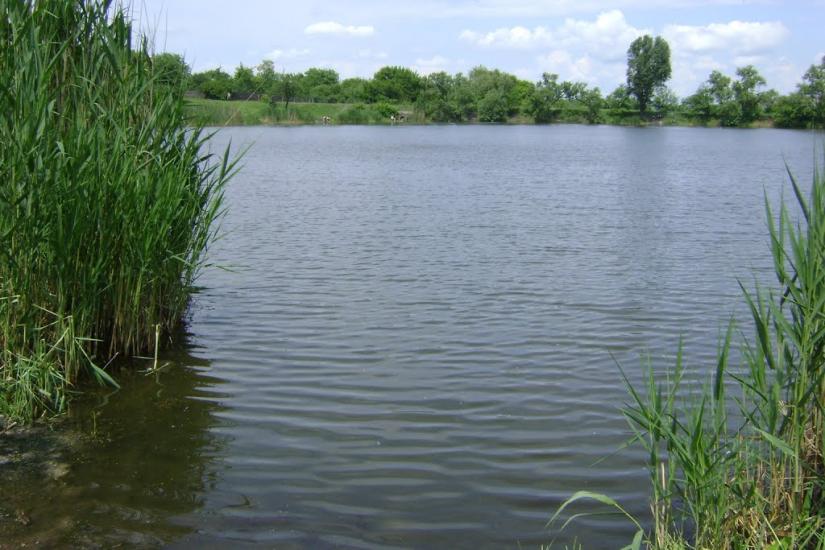 Димитров з panoramio.com - Димитров