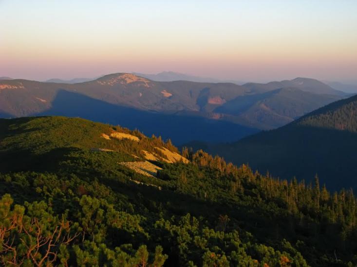 Осмолода з panoramio.com (ч.2) - Осмолода