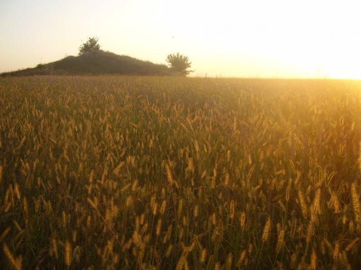 Кам'яні Потоки з panoramio.com - Kamyani Potoky