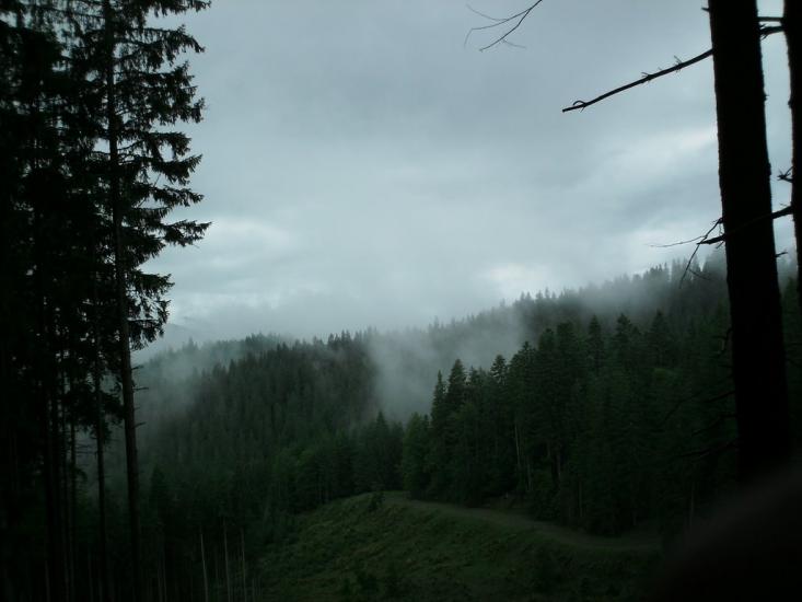 Кваси з panoramio.com - Kvasy