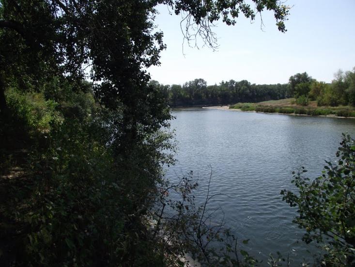 Станично-Луганське з panoramio.com (ч.2) - Станично-Луганское