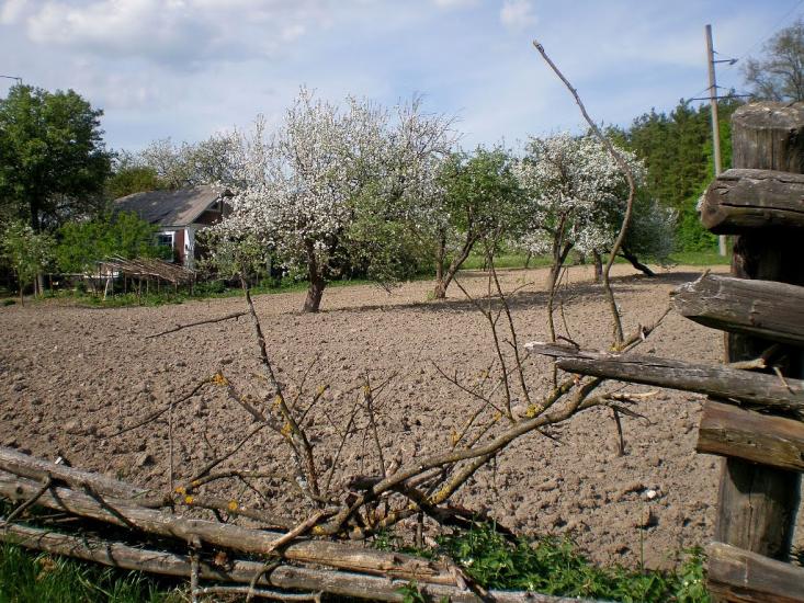 Лучки з panoramio.com - Лучки