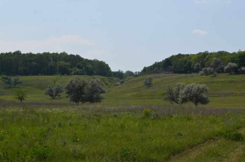 Дергачі з panoramio.com - Дергачи
