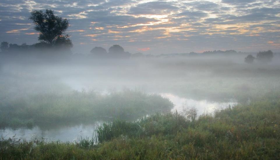 Південне з panoramio.com - Пивденное