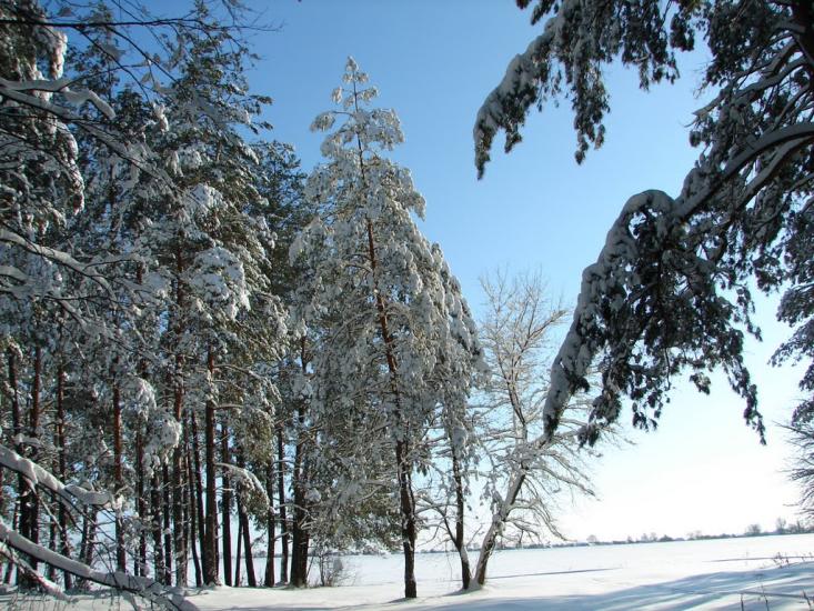 Авдіївка з panoramio.com - Авдіївка