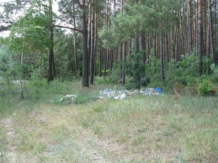 Нова Гребля з panoramio.com - Новая Гребля