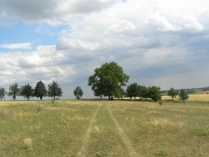 Кривець з panoramio.com - Кривець