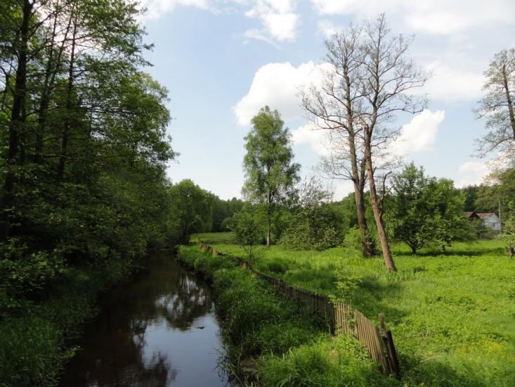 Хрипськ з panoramio.com - Khrypsk