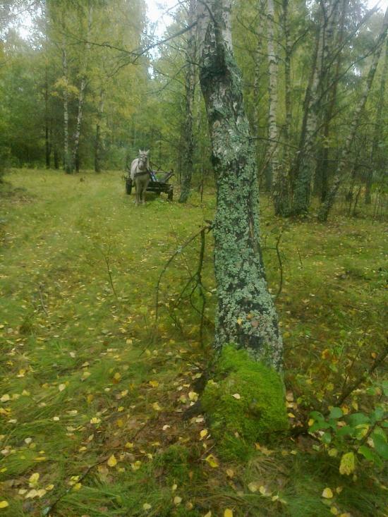 Будилівка з panoramio.com - Будилівка