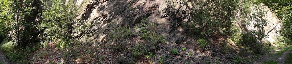 Луг з panoramio.com - Луг