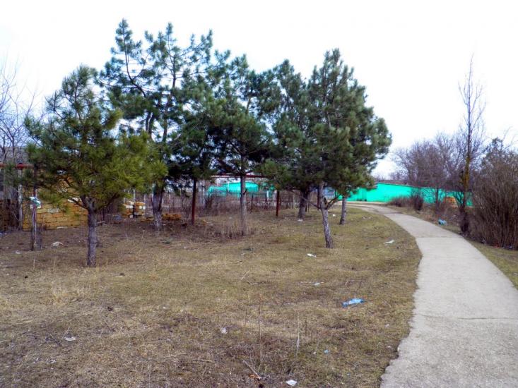 Миролюбівка з panoramio.com - Миролюбівка