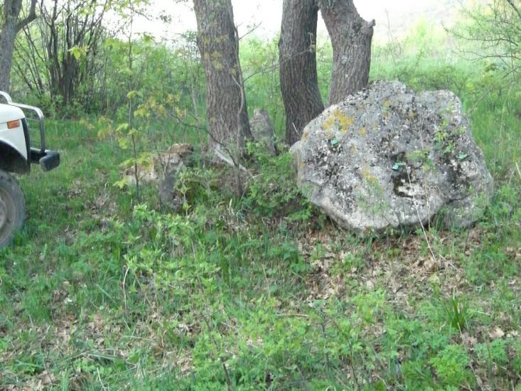 Пчолине з panoramio.com - Pcholyne