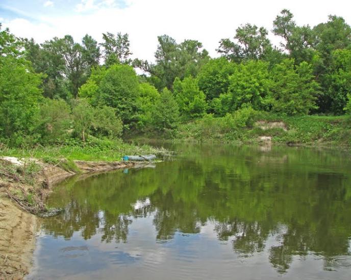 Кардашівка з panoramio.com - Кардашівка